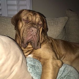 Meet your Posher, Cal